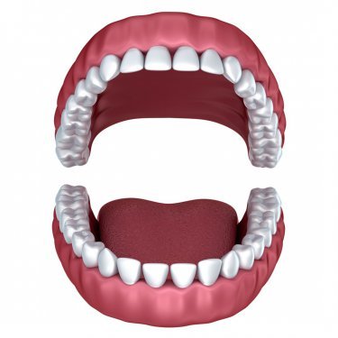 Open Mouth